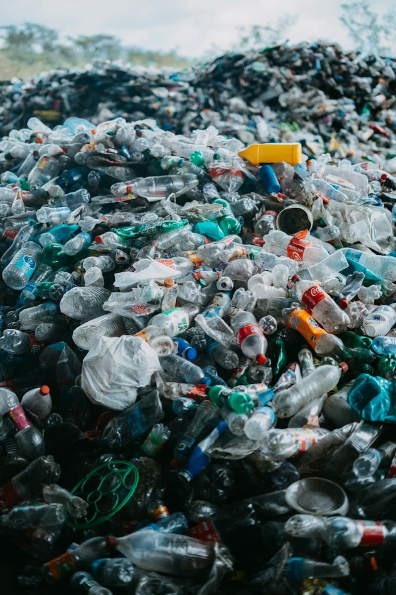 Pile of plastic bottles collected for recycling